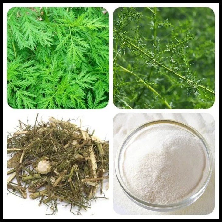 Artemisinin3.webp
